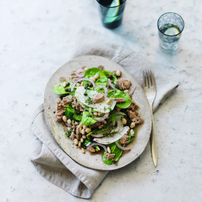 tuna-white-bean-salad-with-fennel-and-dill